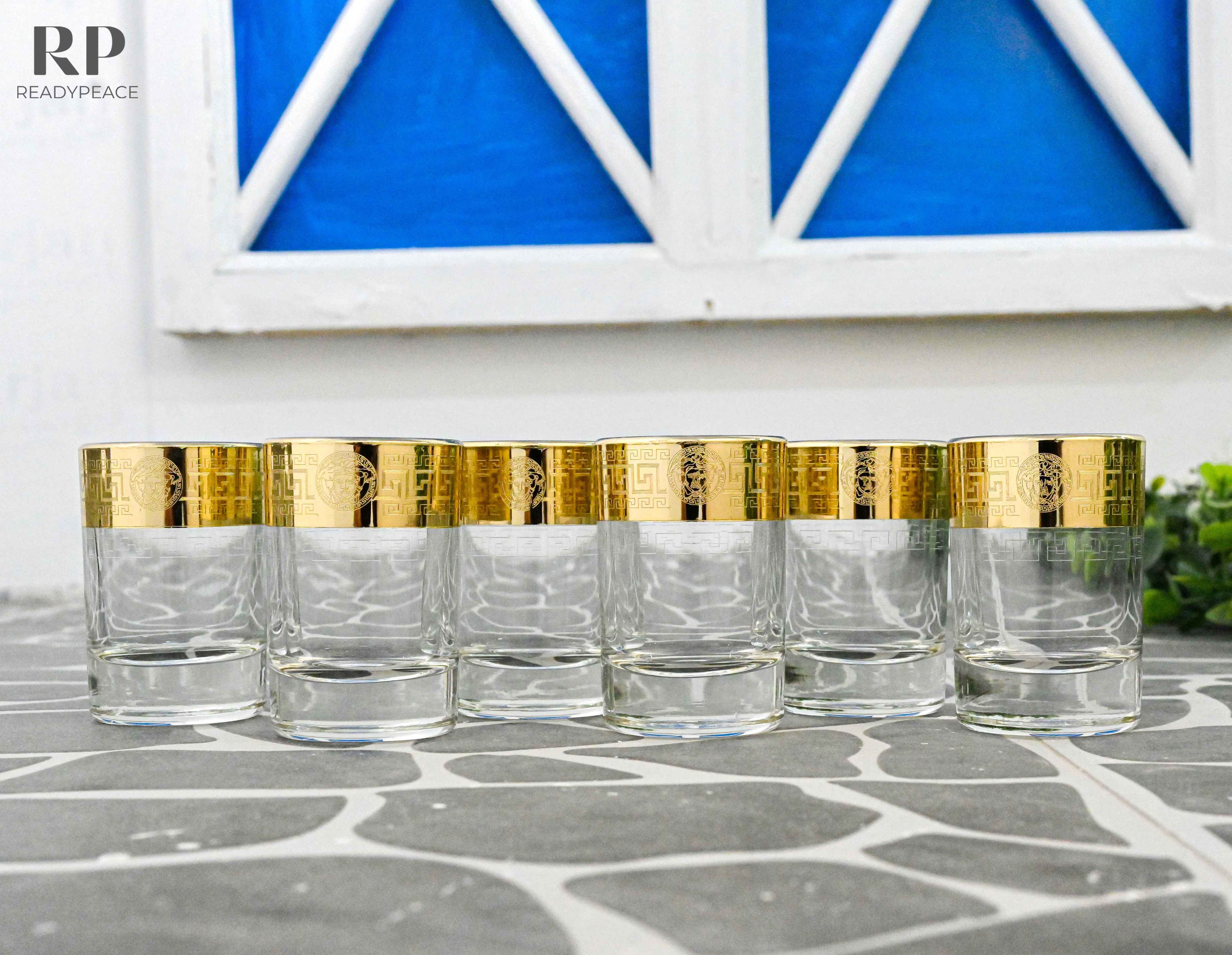 Sleek Gold Plated Shot Glasses (Set of 6)