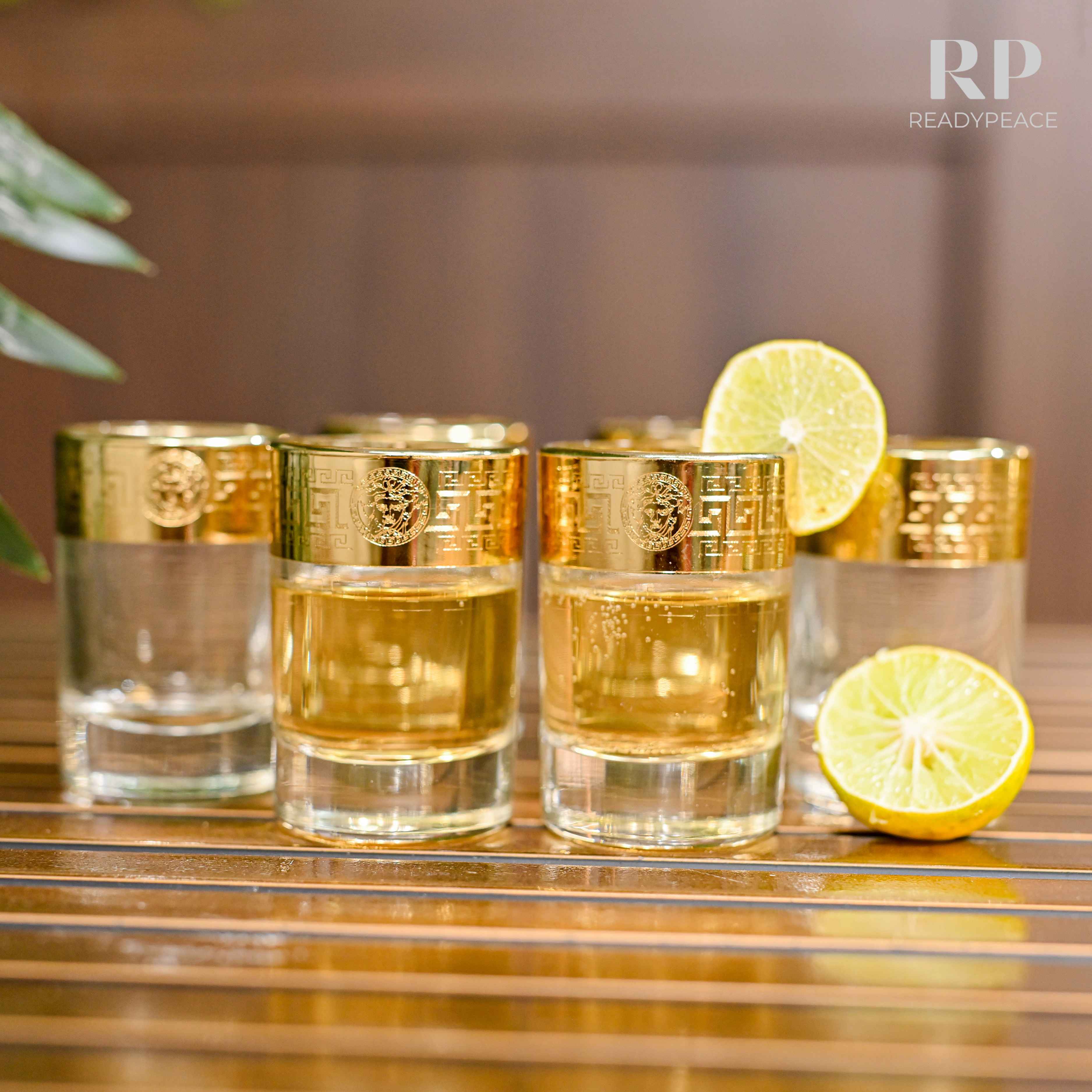 Sleek Gold Plated Shot Glasses (Set of 6)