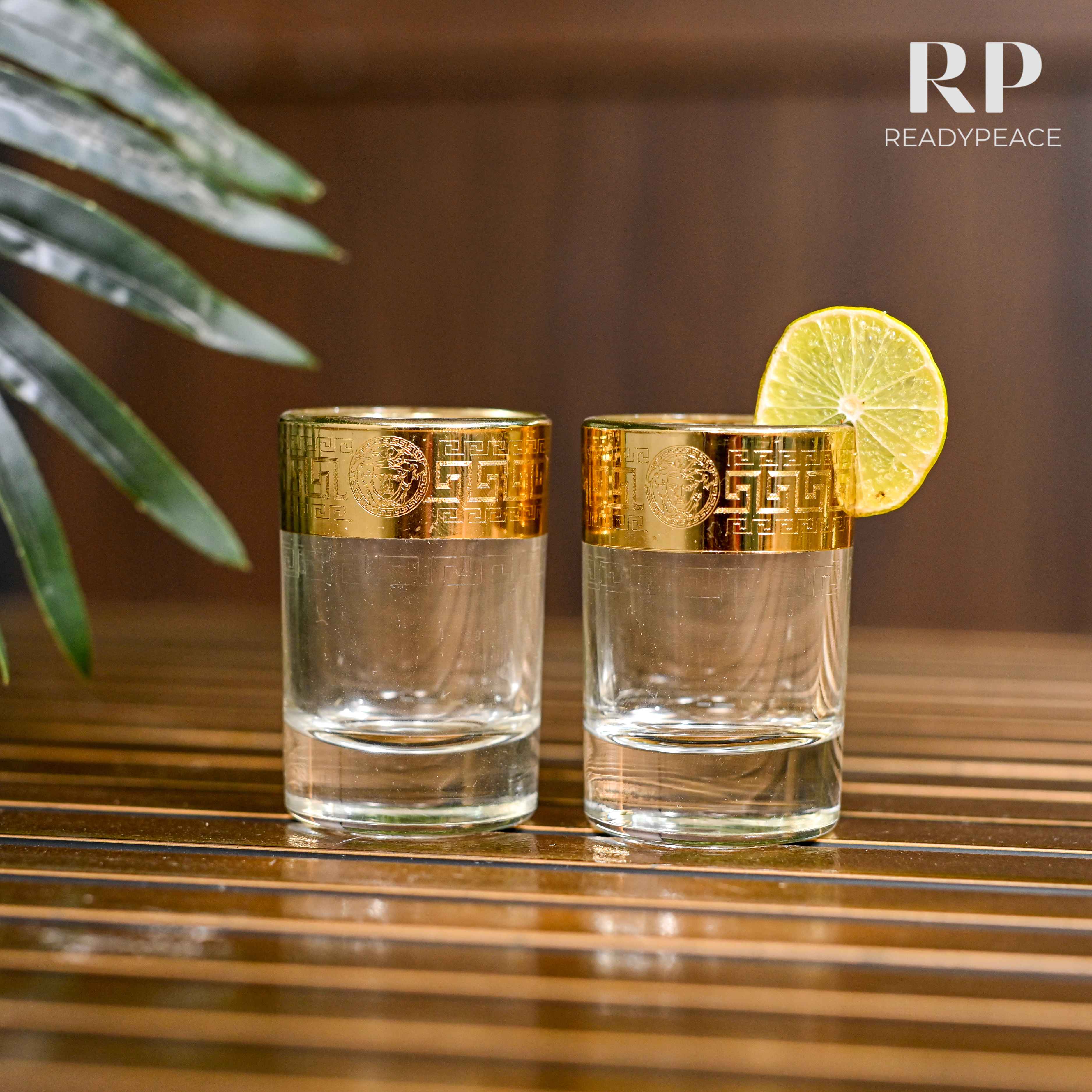 Sleek Gold Plated Shot Glasses (Set of 6)