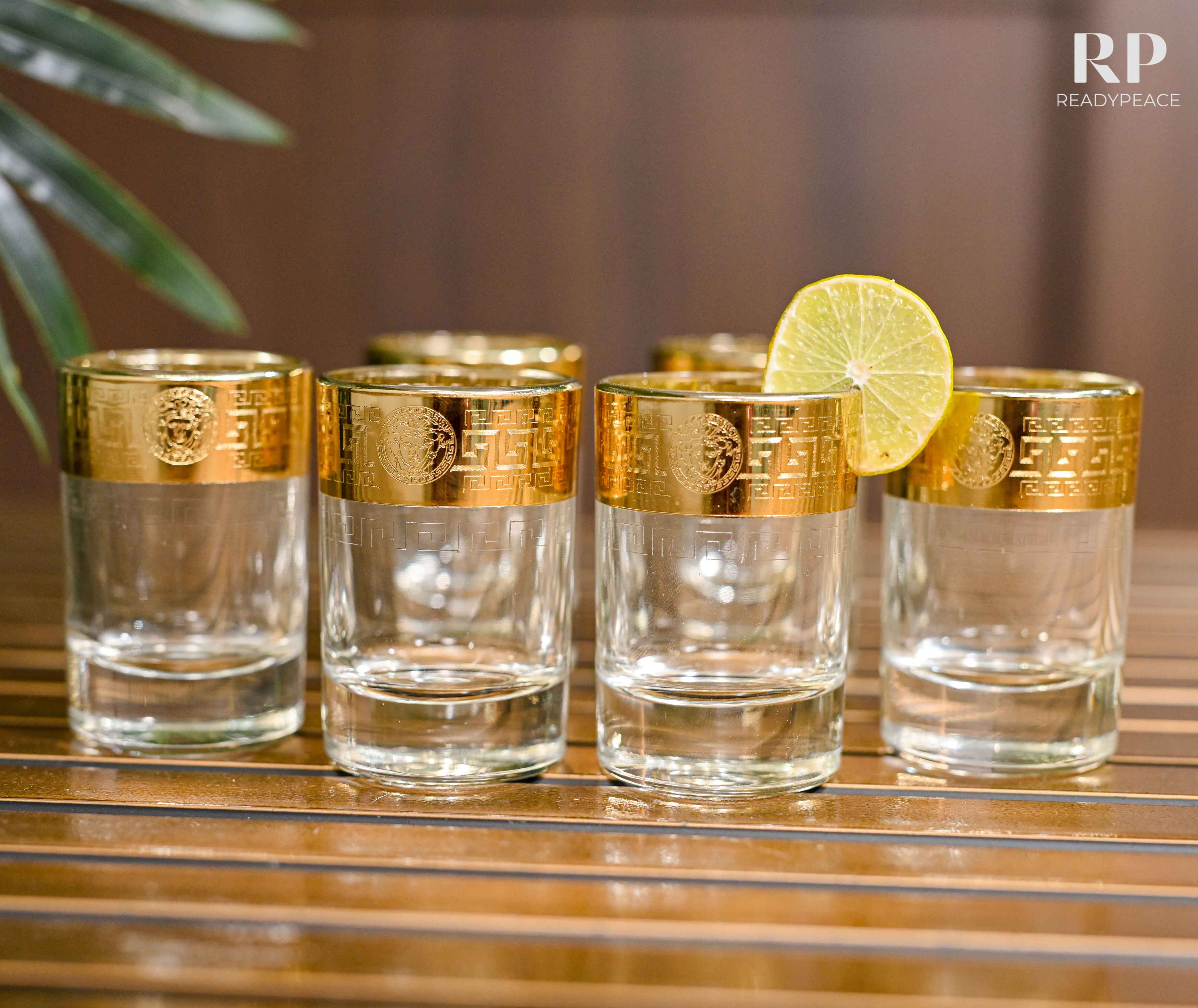 Sleek Gold Plated Shot Glasses (Set of 6)