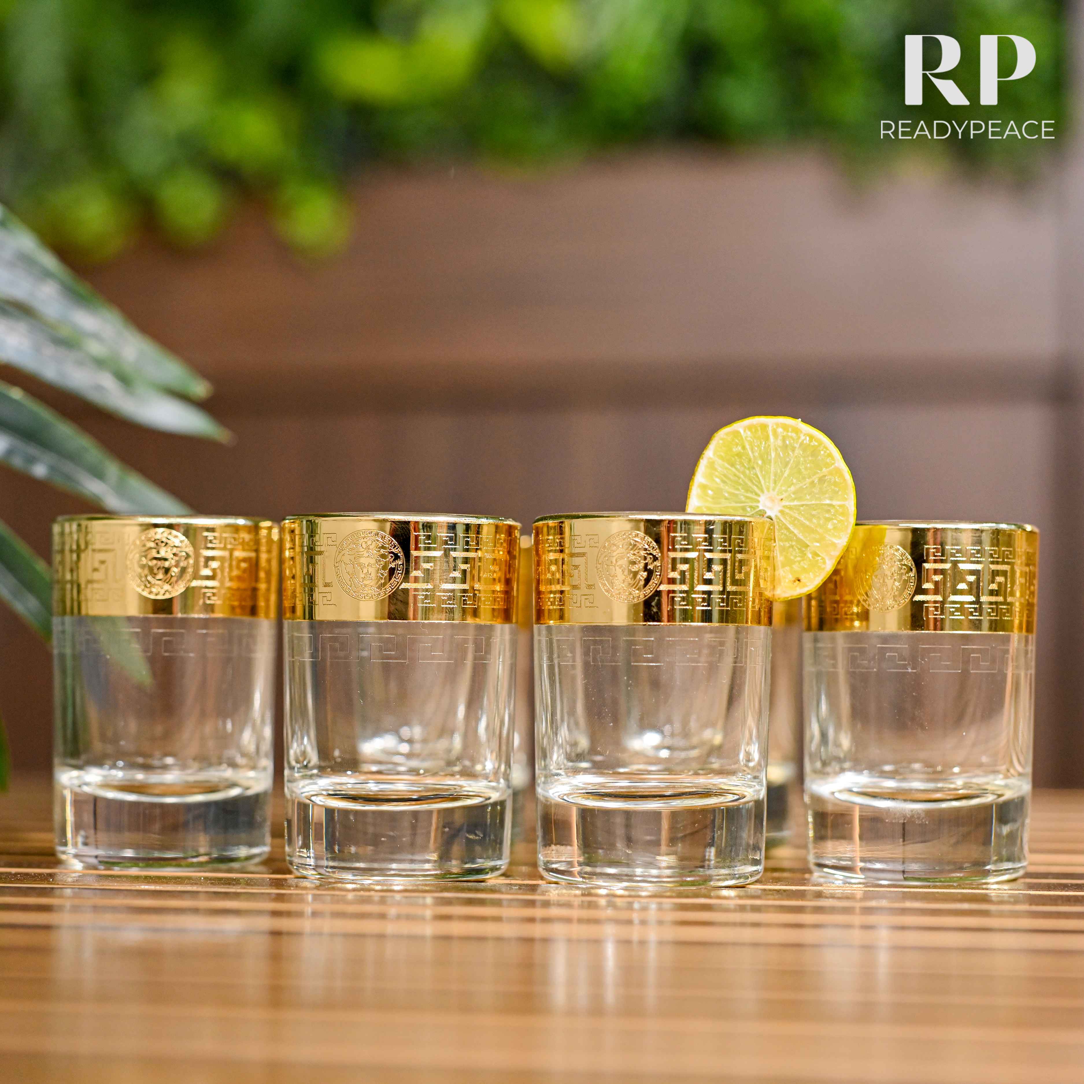 Sleek Gold Plated Shot Glasses (Set of 6)